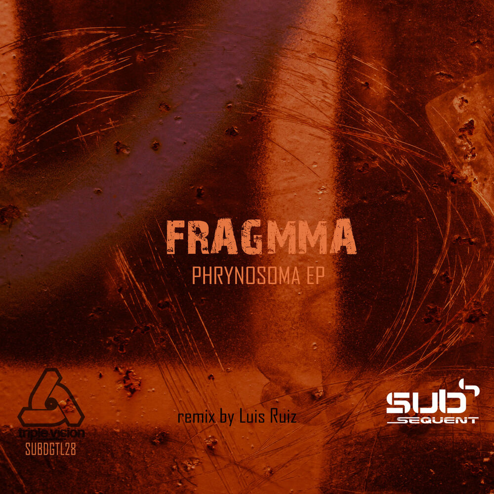 Picture of Phrynosoma EP