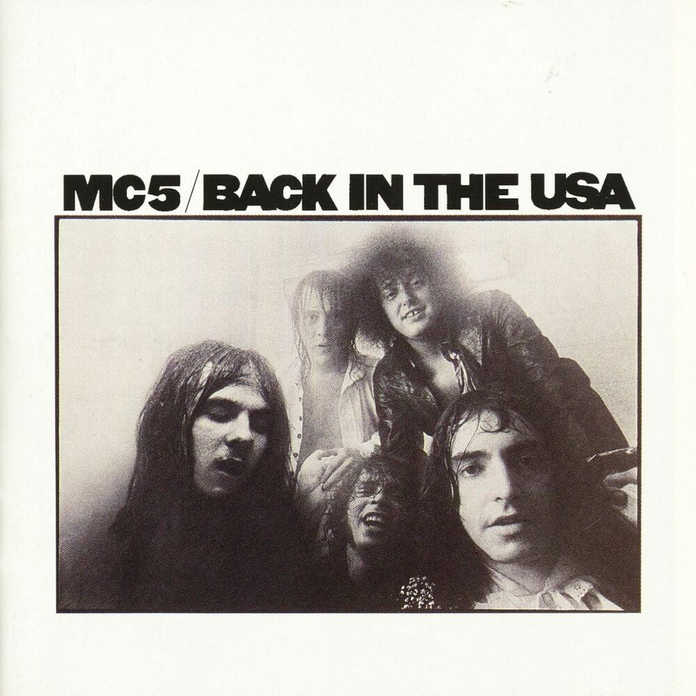 Picture of Back In The USA