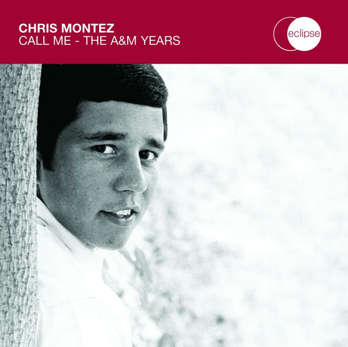 Album cover of The More I See You