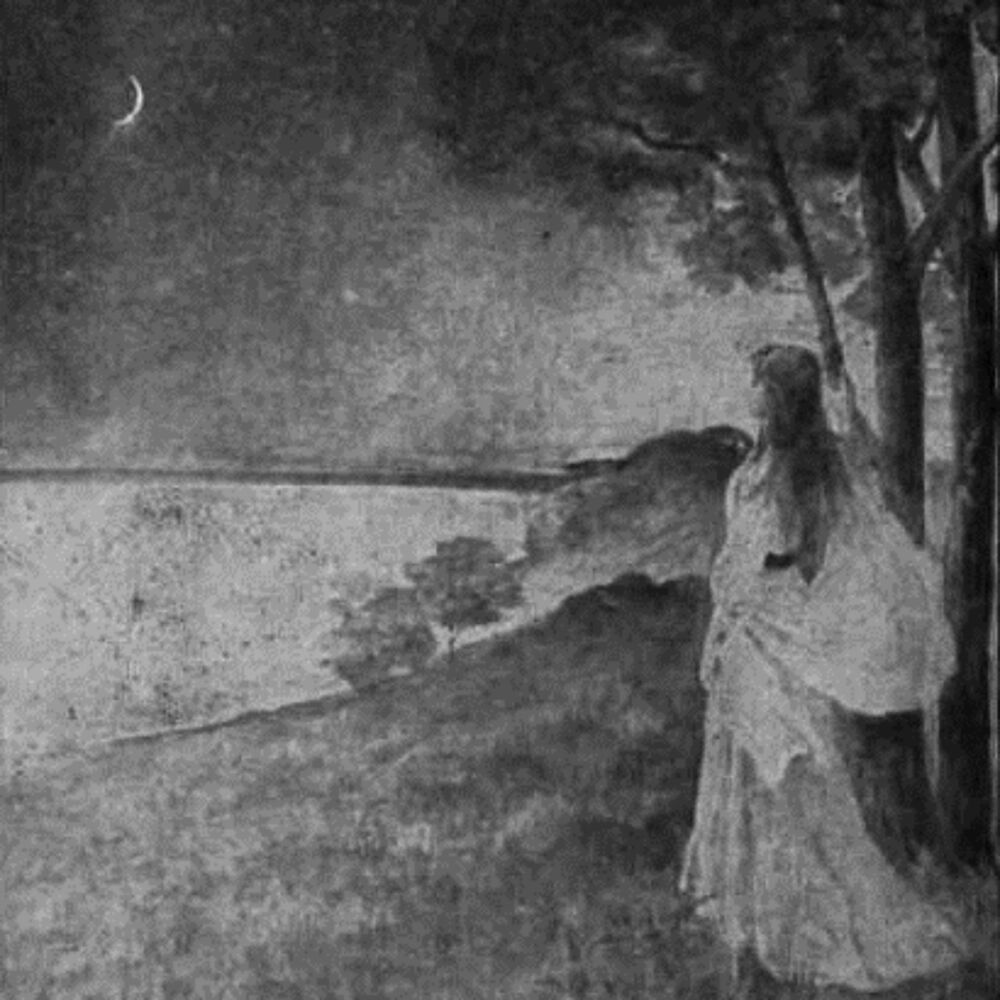 Picture of The Immigrant
