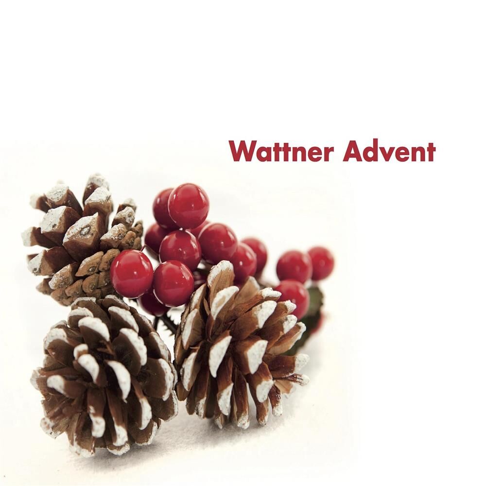 Picture of Wattner Advent