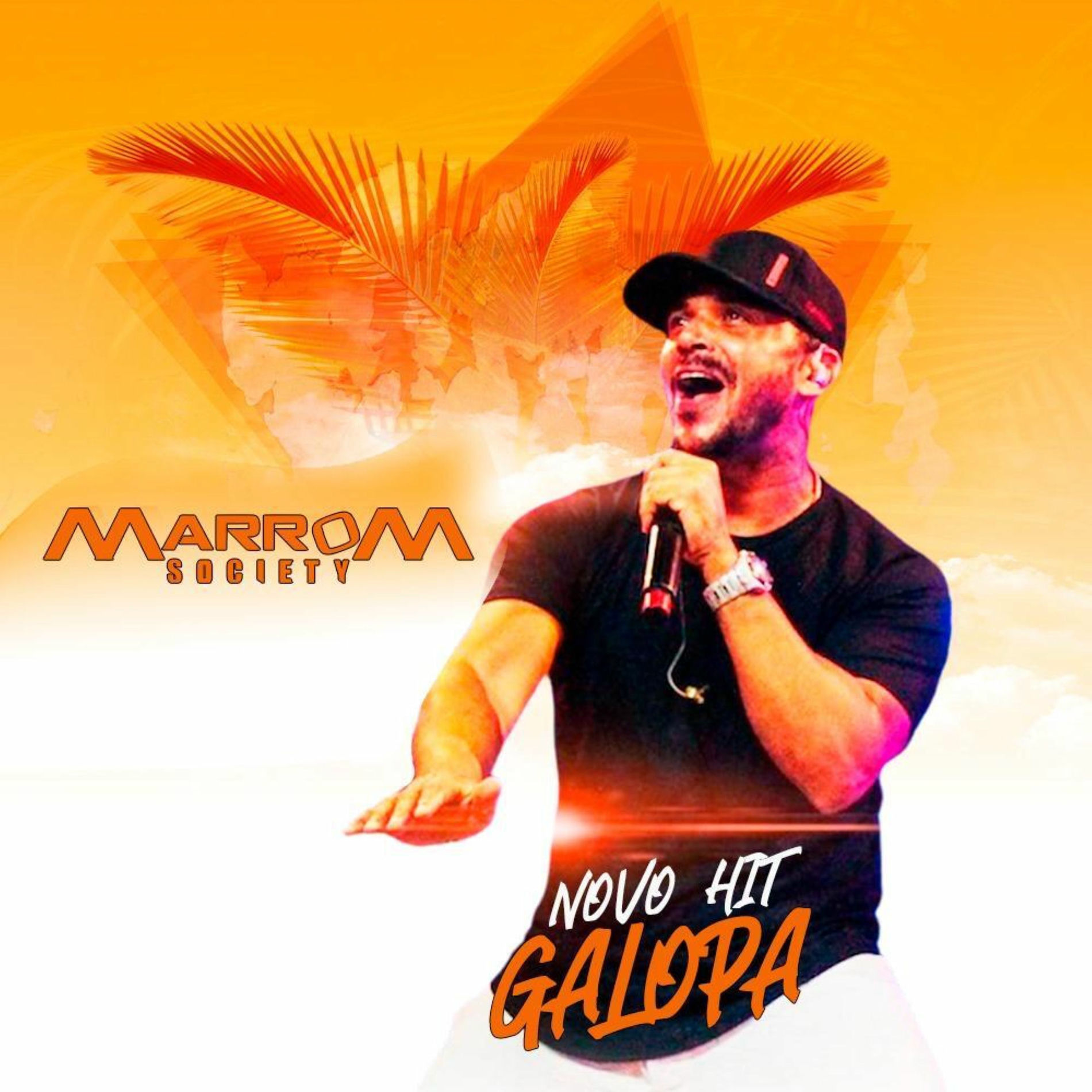 Album cover of Novo Hit Galopa
