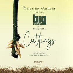 Cover of Cuttings
