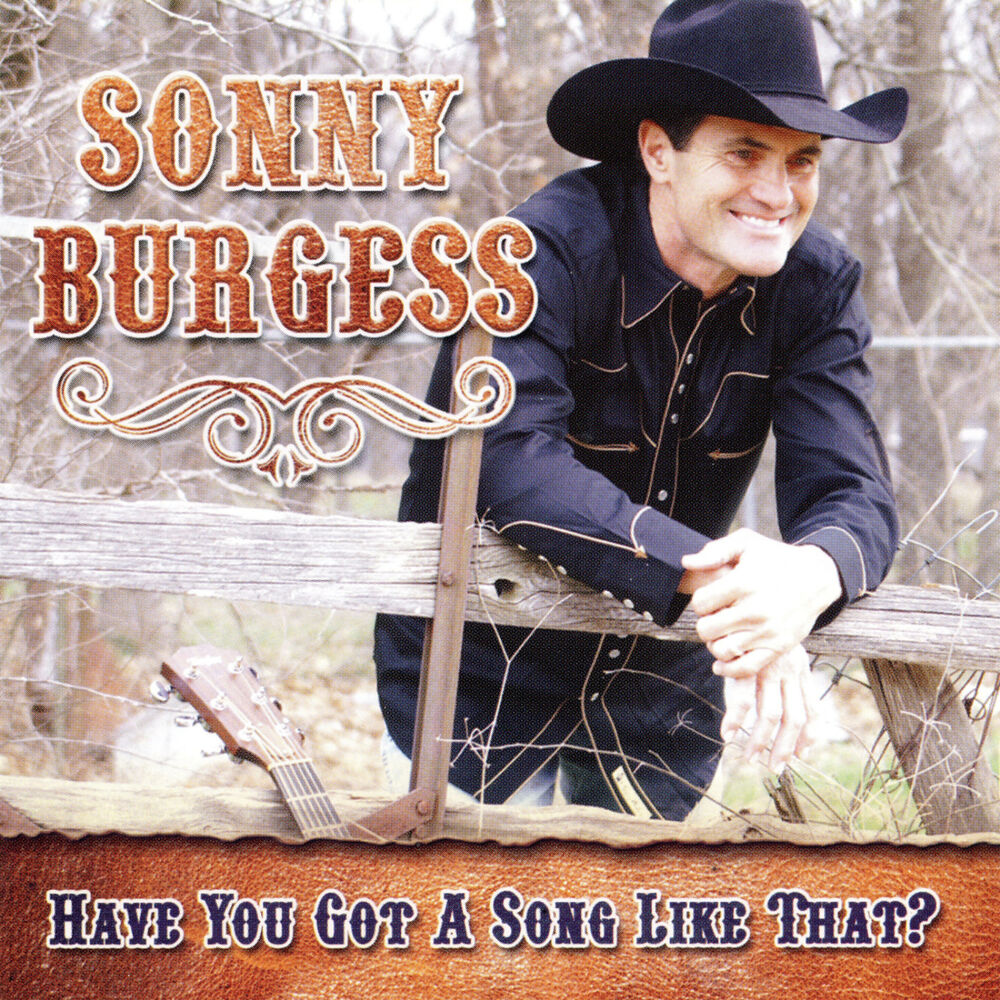 Picture of Have You Got a Song Like That?