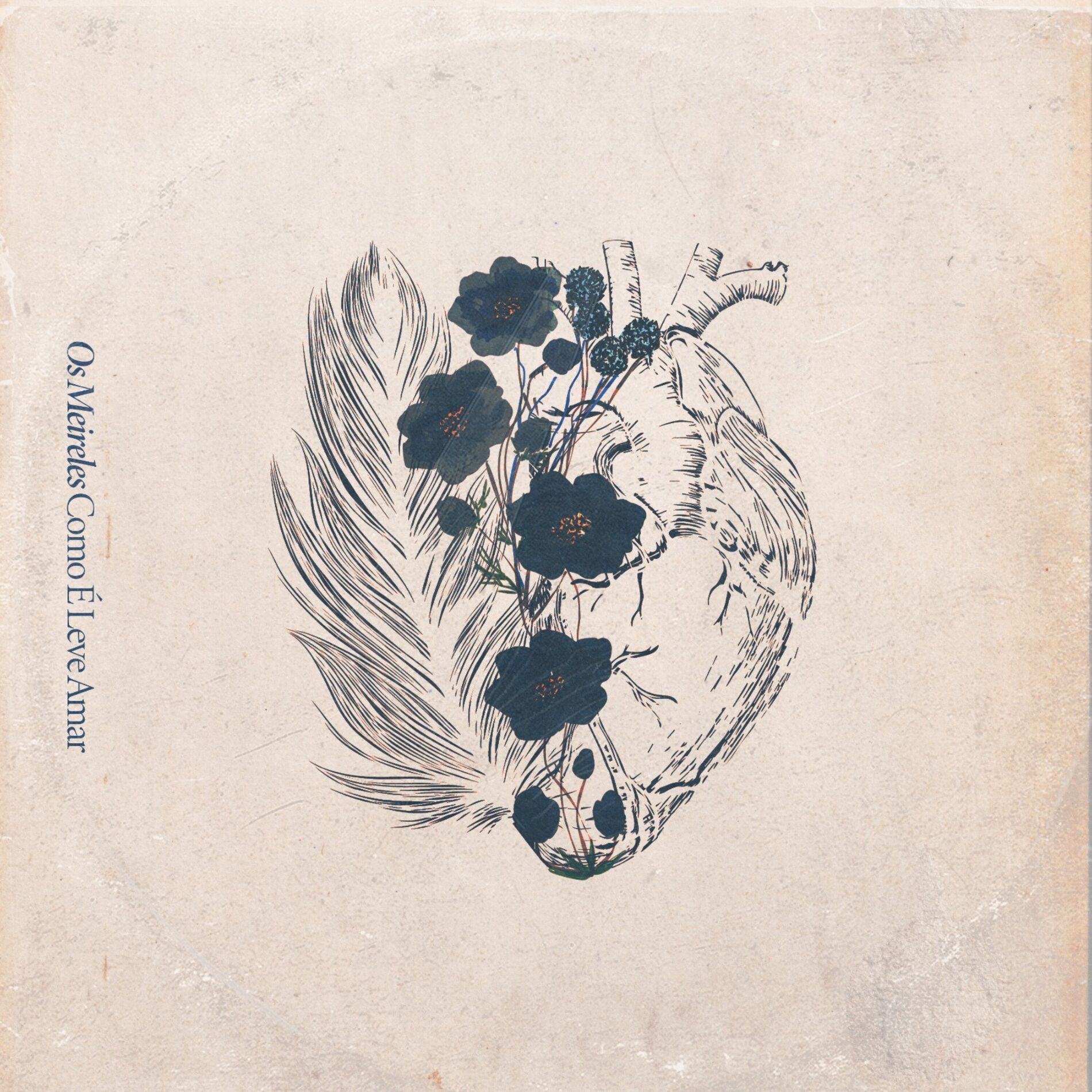 Album cover of Como É Leve Amar