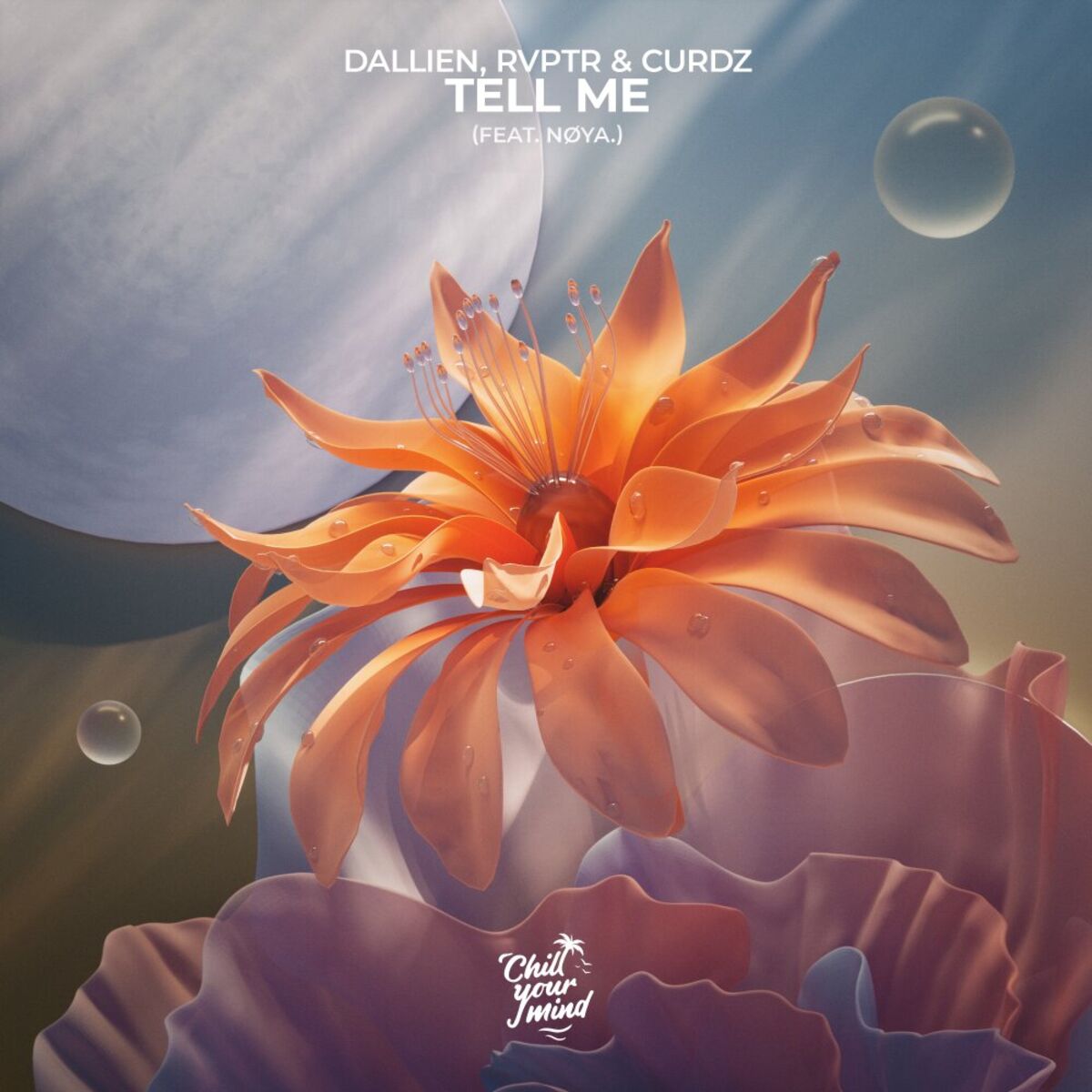Album cover of Tell Me