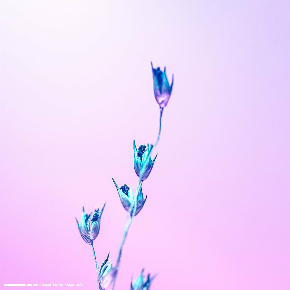 Album cover of Breaths in Motion