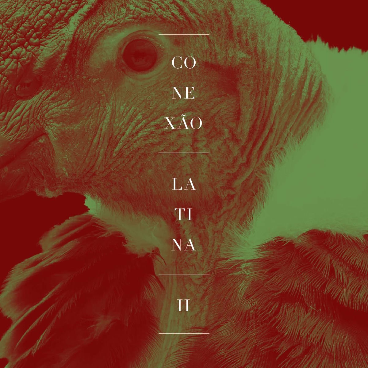 Album cover of Conexão Latina - Volume II