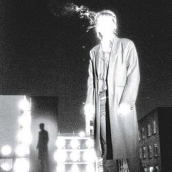 Cover of Trial By Fire