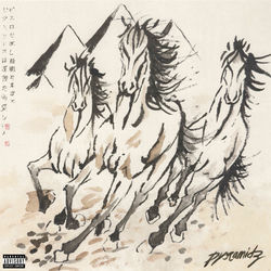 Pochette album
