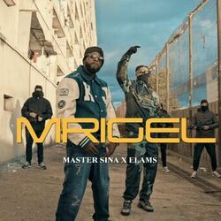 Cover of Mrigel