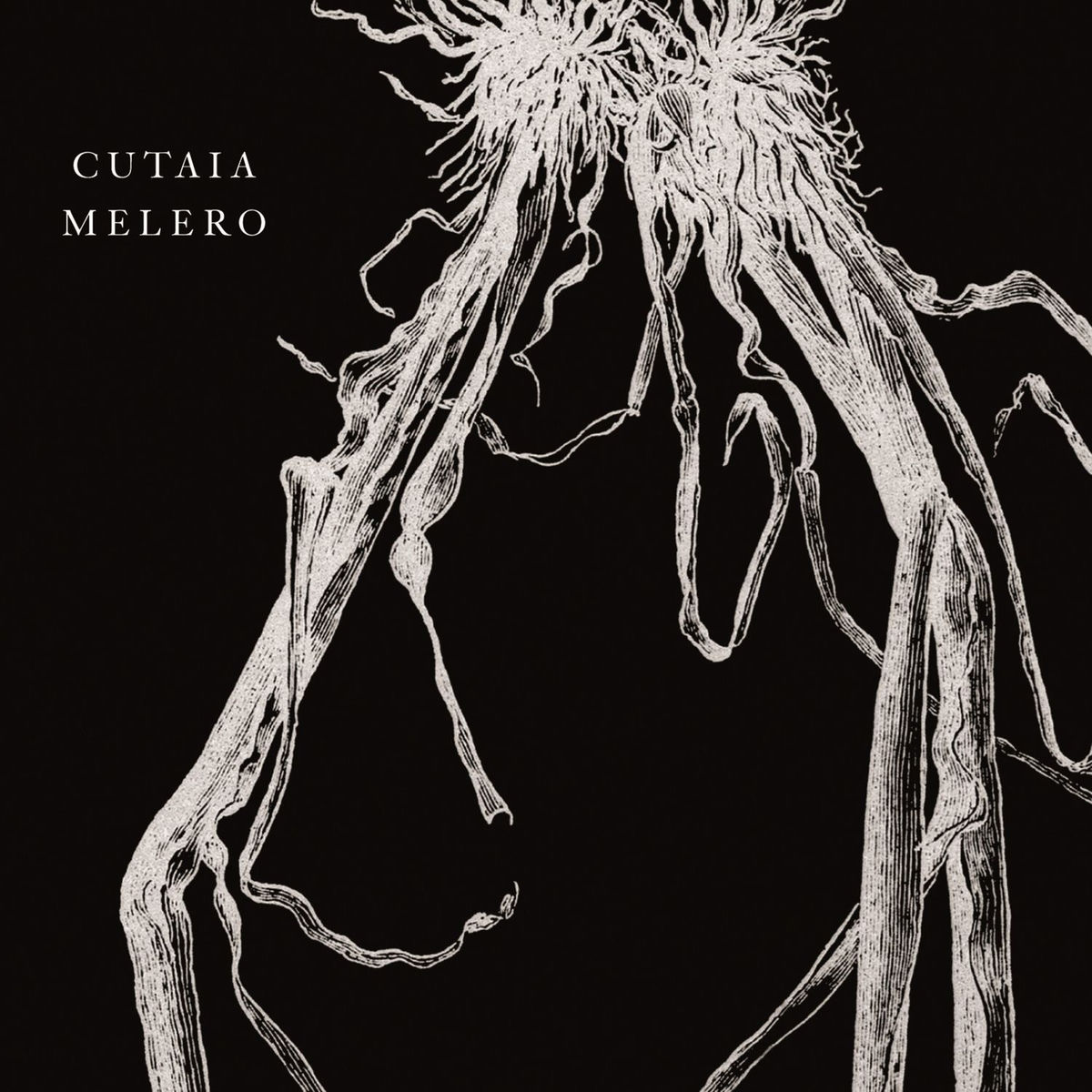 Album cover of Cutaia Melero