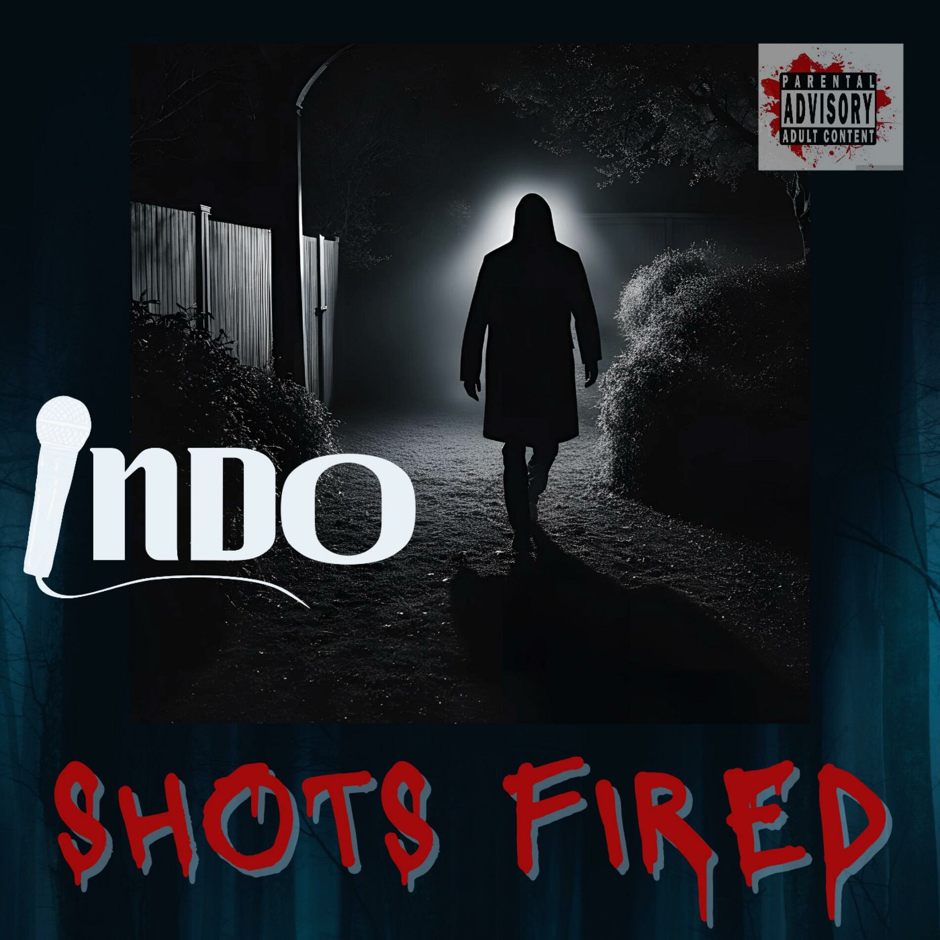 Album cover of Shots Fired (Diss Track)