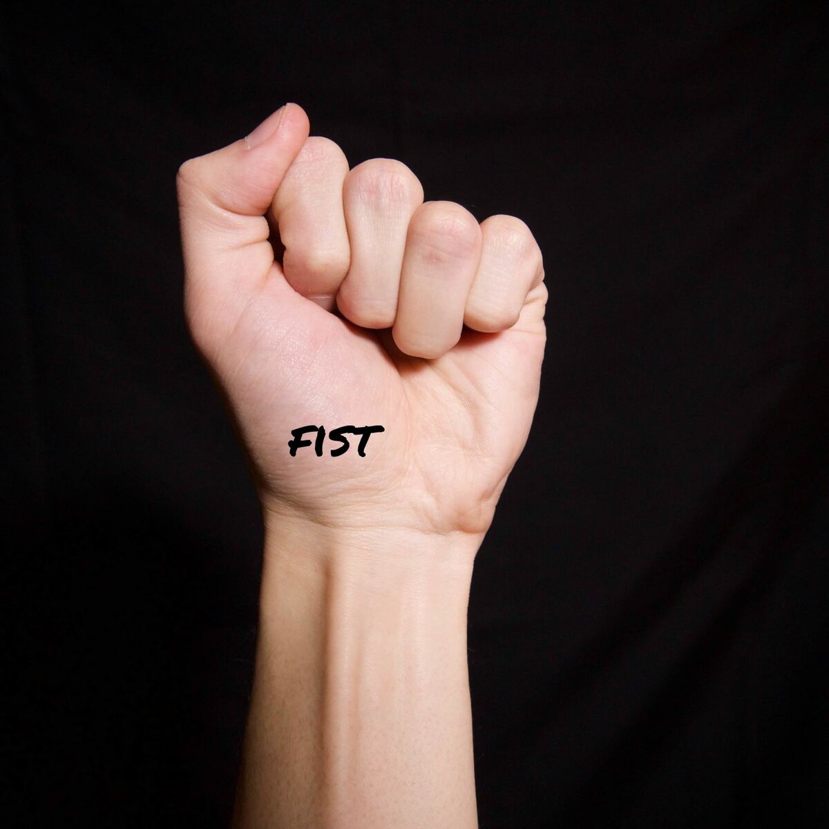 Album cover of fist