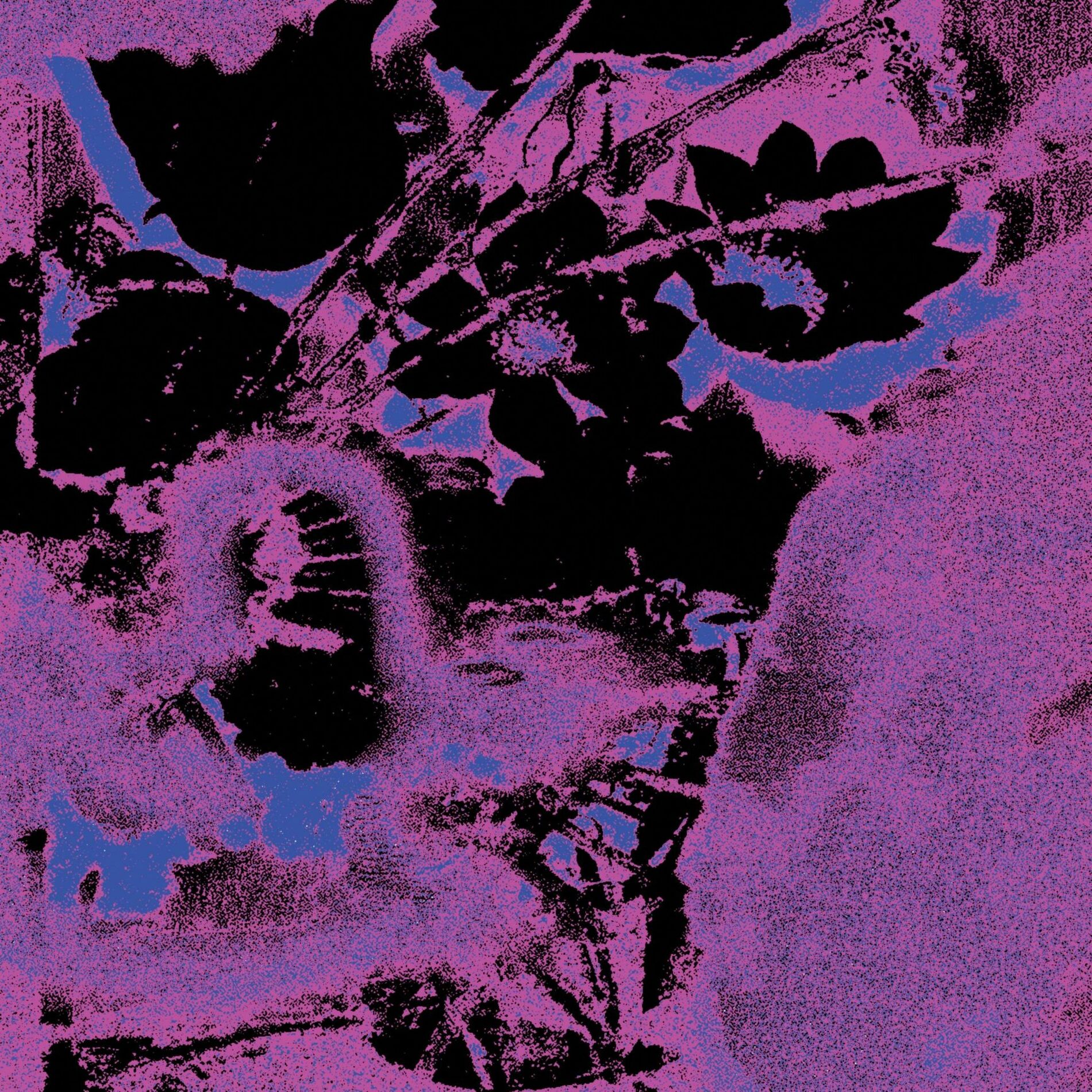Album cover of CODA