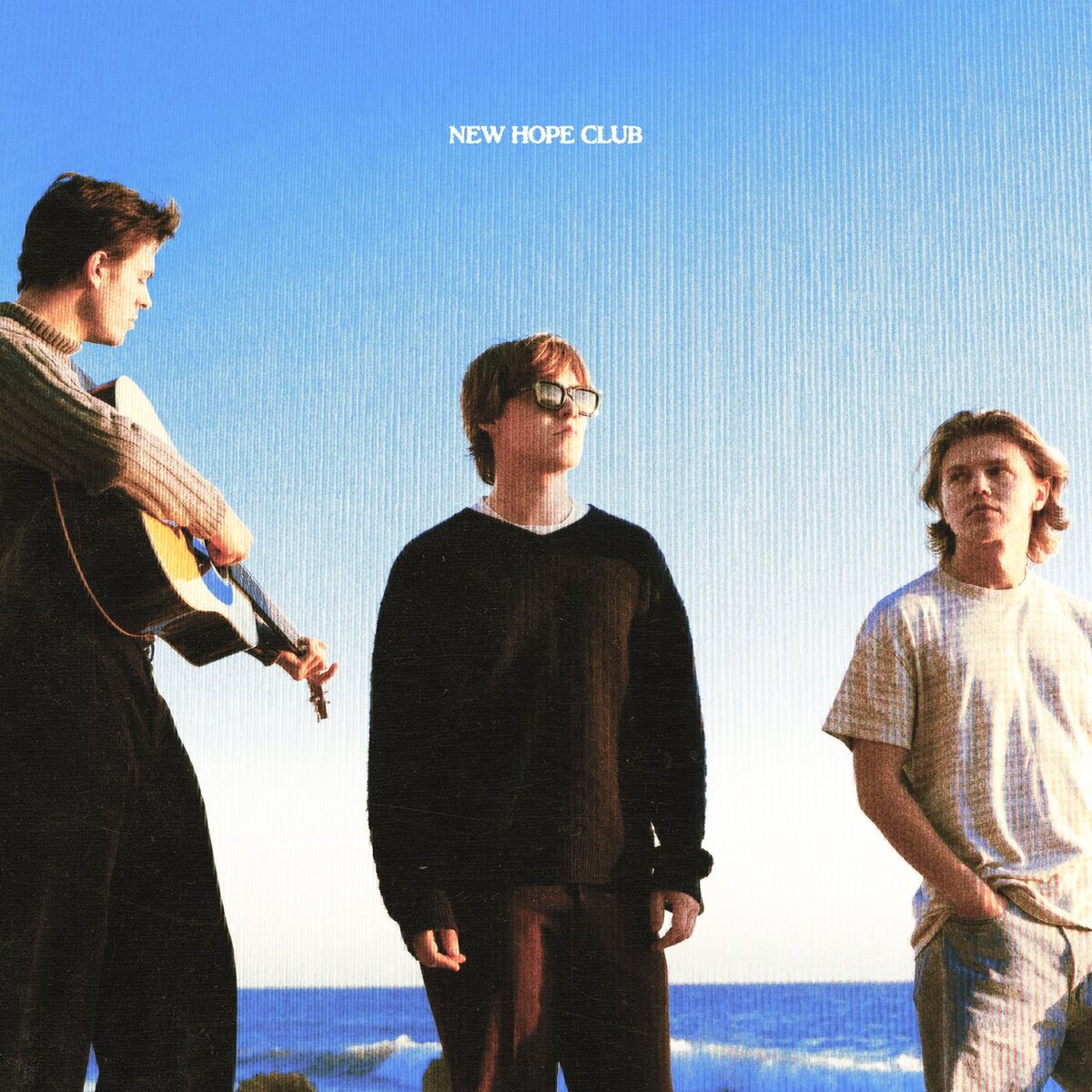 Album cover of L.U.S.H.