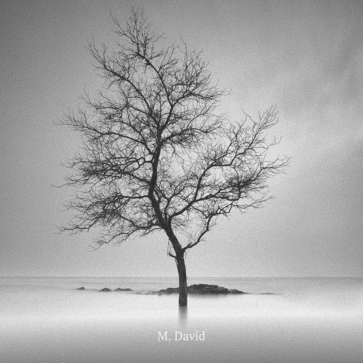 Album cover of Shifting Waveforms