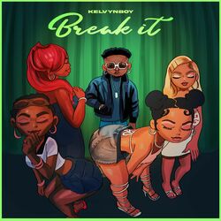 Cover of Break It