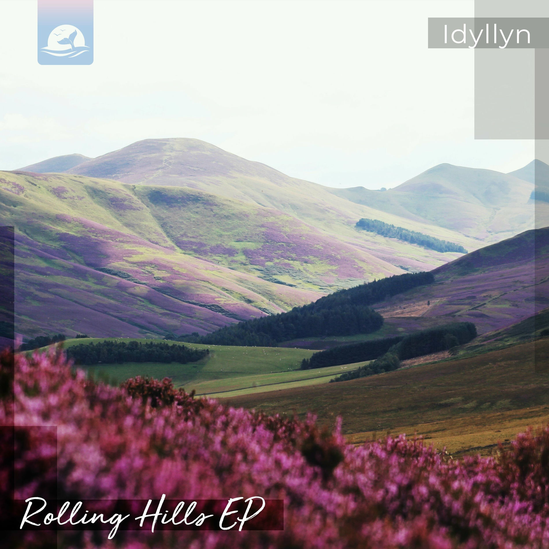 Album cover of Dancing Lights