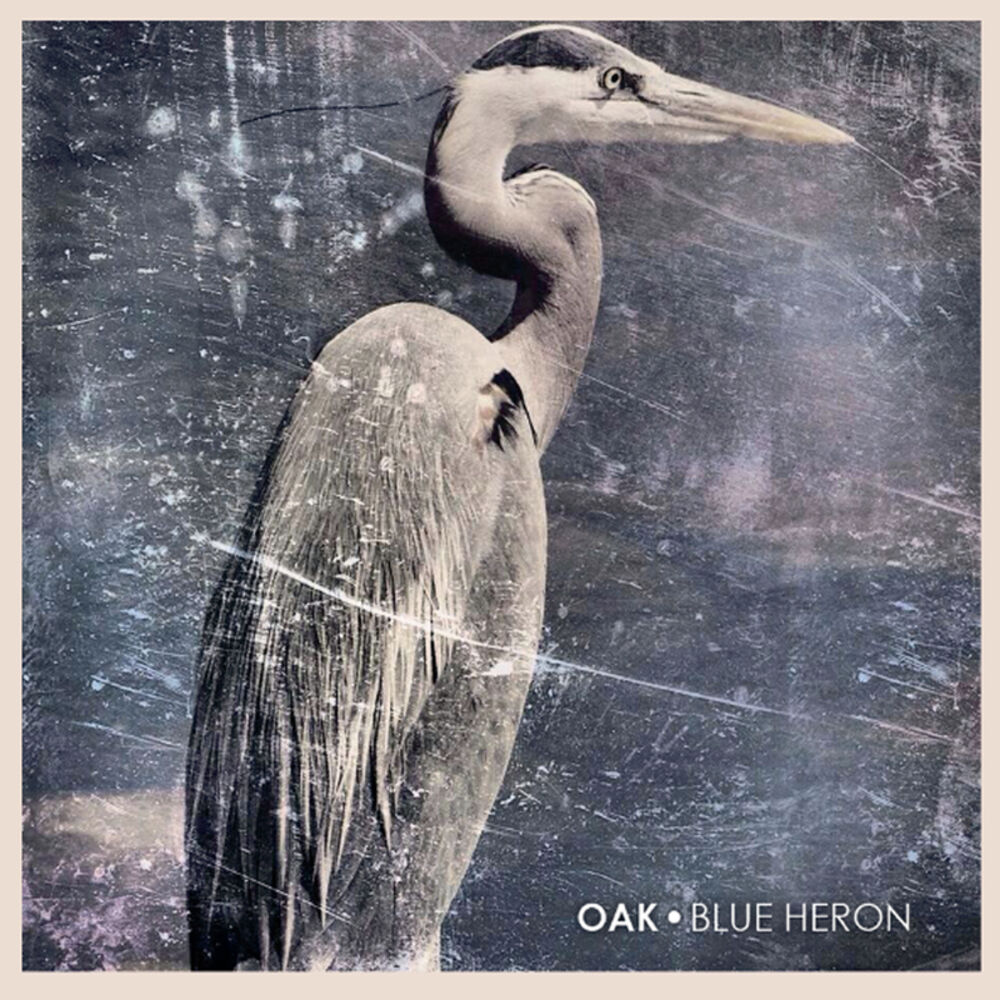 Picture of Blue Heron