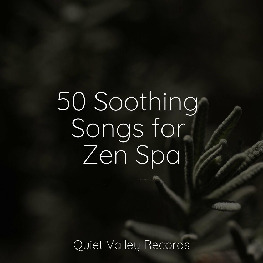 Picture of 50 Soothing Songs for Zen Spa