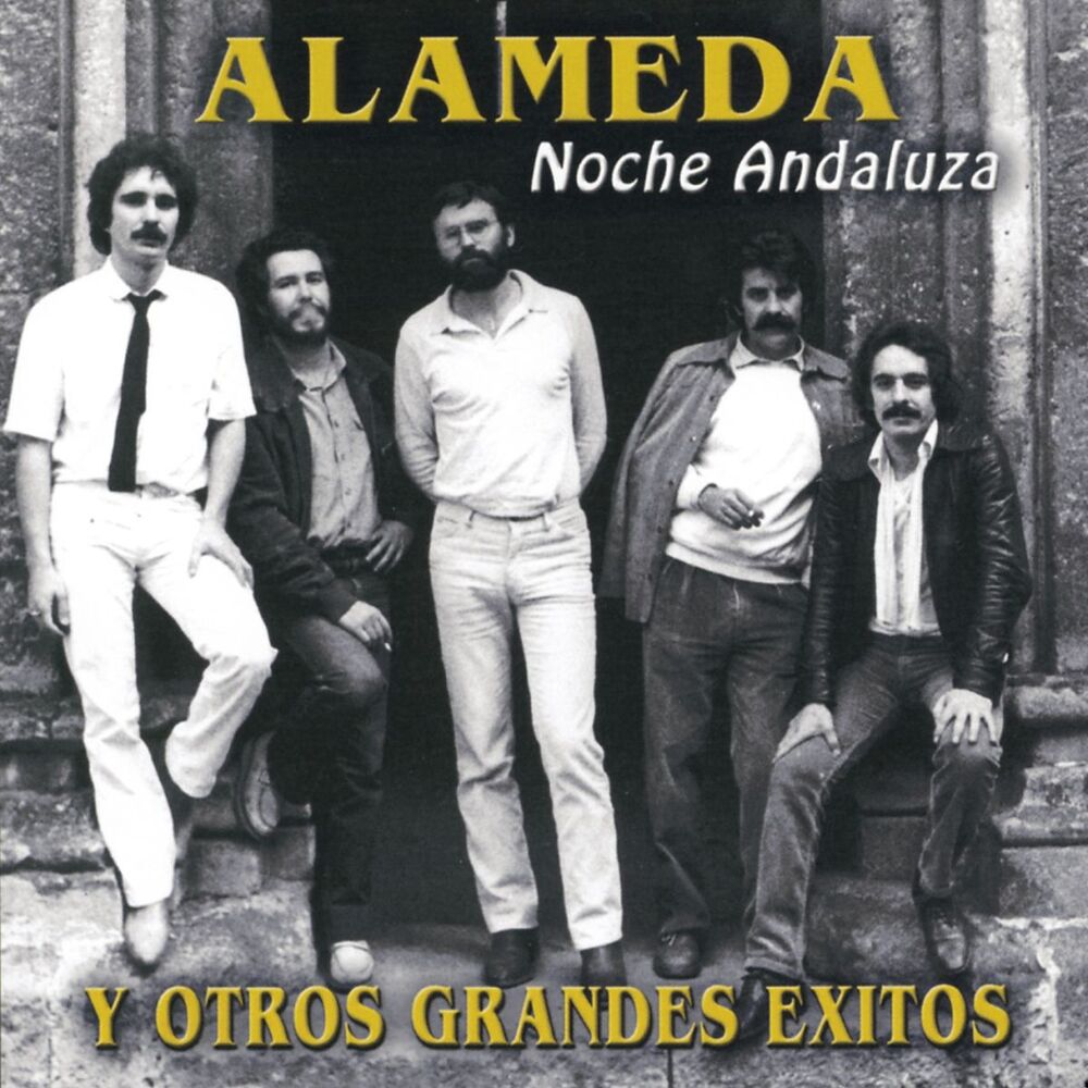 Picture of Noche Andaluza Y Otros Grandes Éxitos