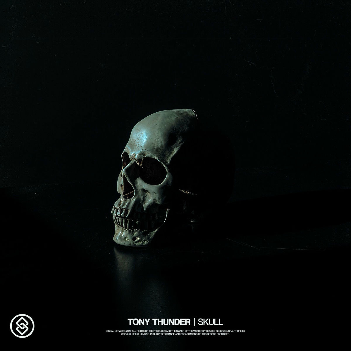 THE SKULL DISK NATURE TONES × DAMNGOOD tap253_grande.jpg?v=1756594511