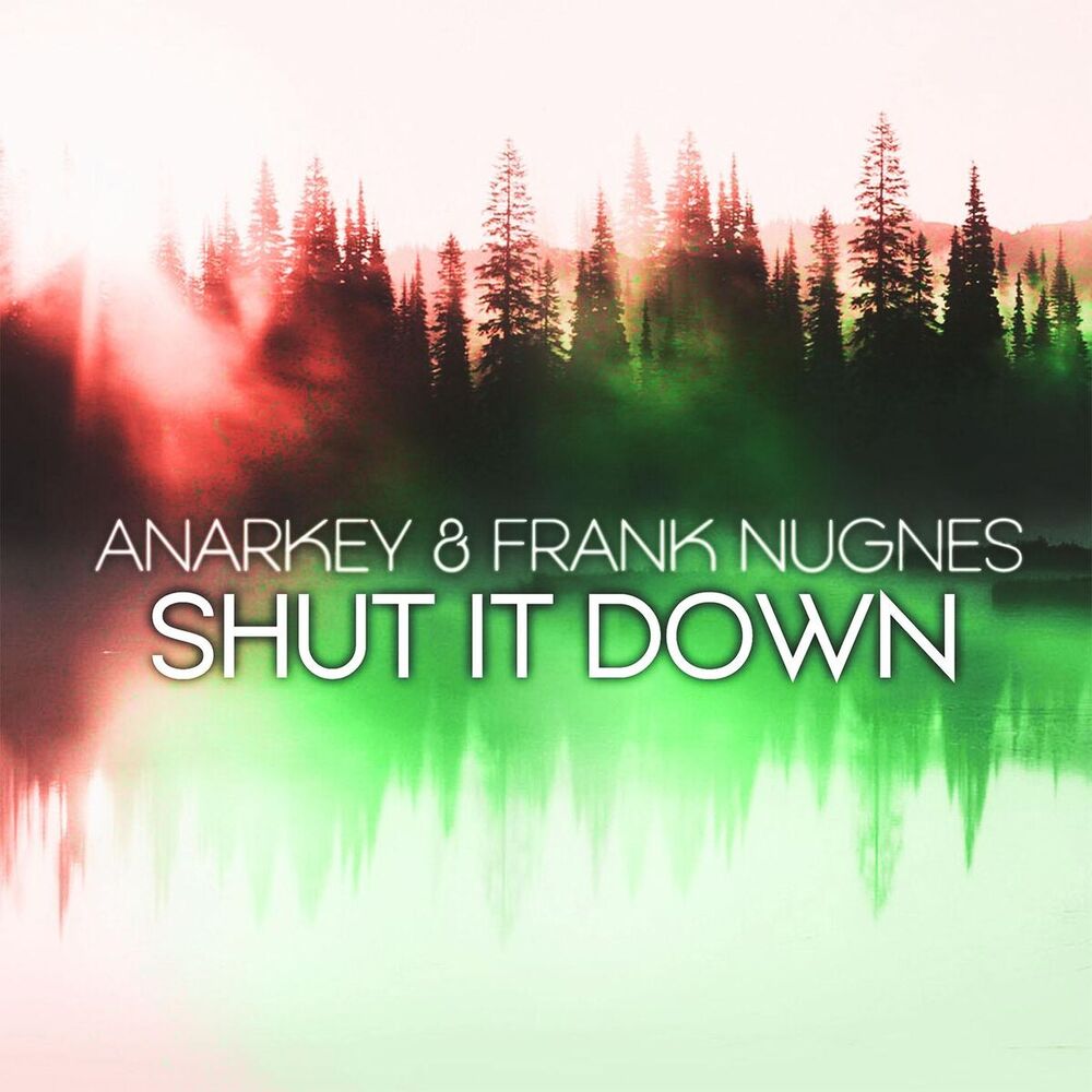 Picture of Shut It Down