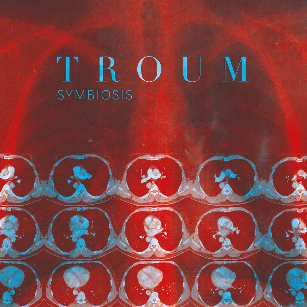 Picture of Symbiosis