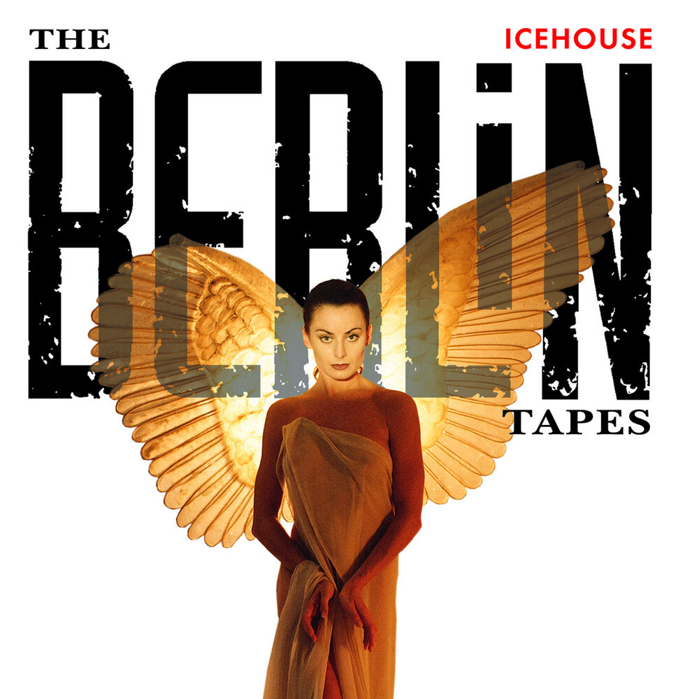 Picture of The Berlin Tapes