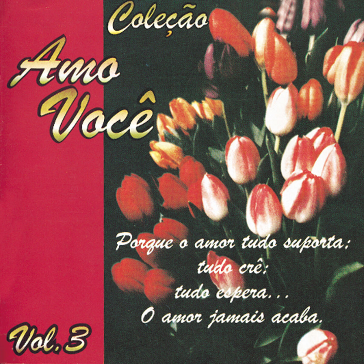 Album cover of Amo Você Vol. 3