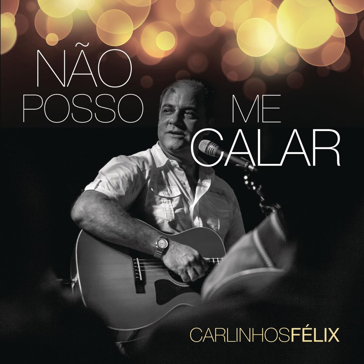 Album cover of Não Posso Me Calar