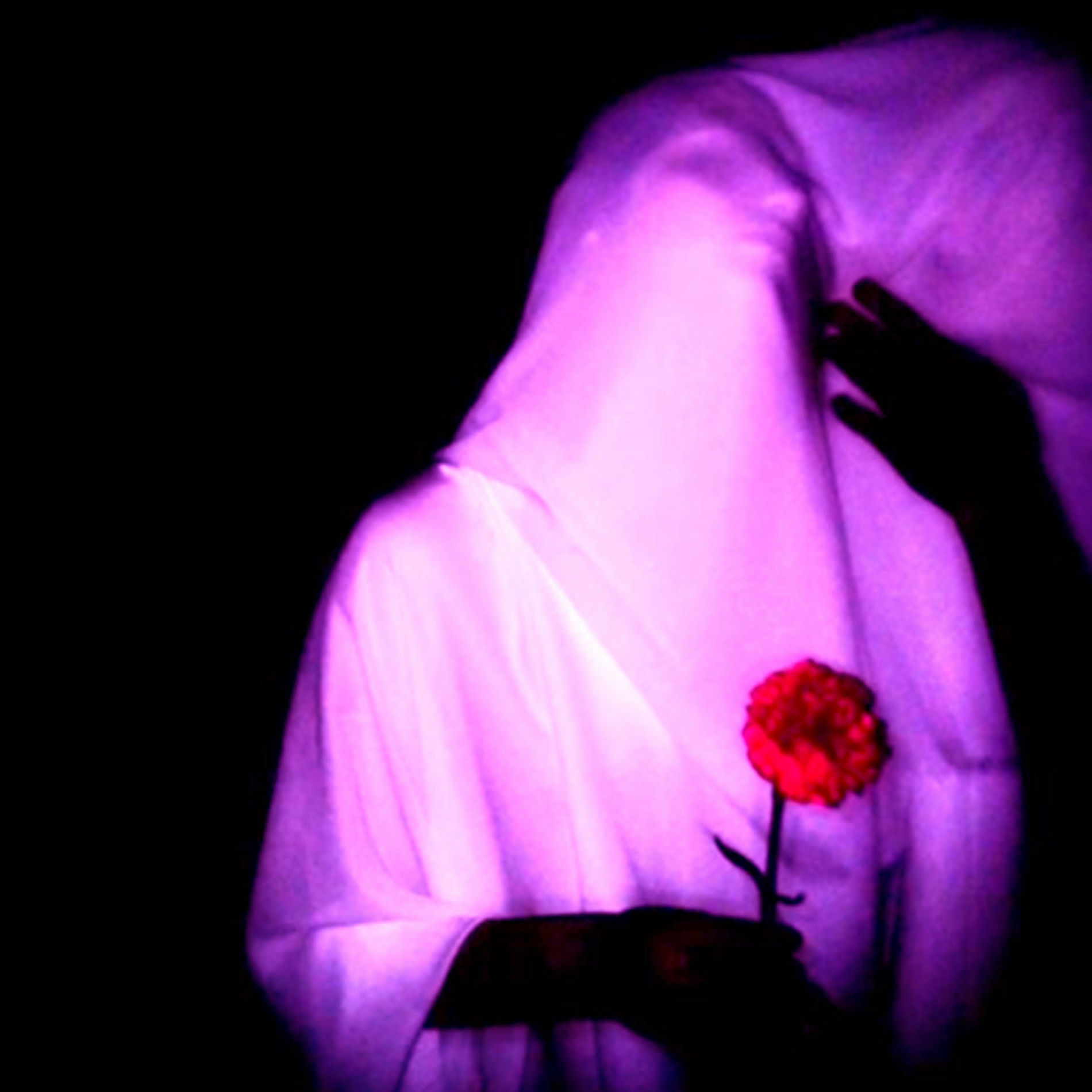 Album cover of Sapphire (SLOWED)
