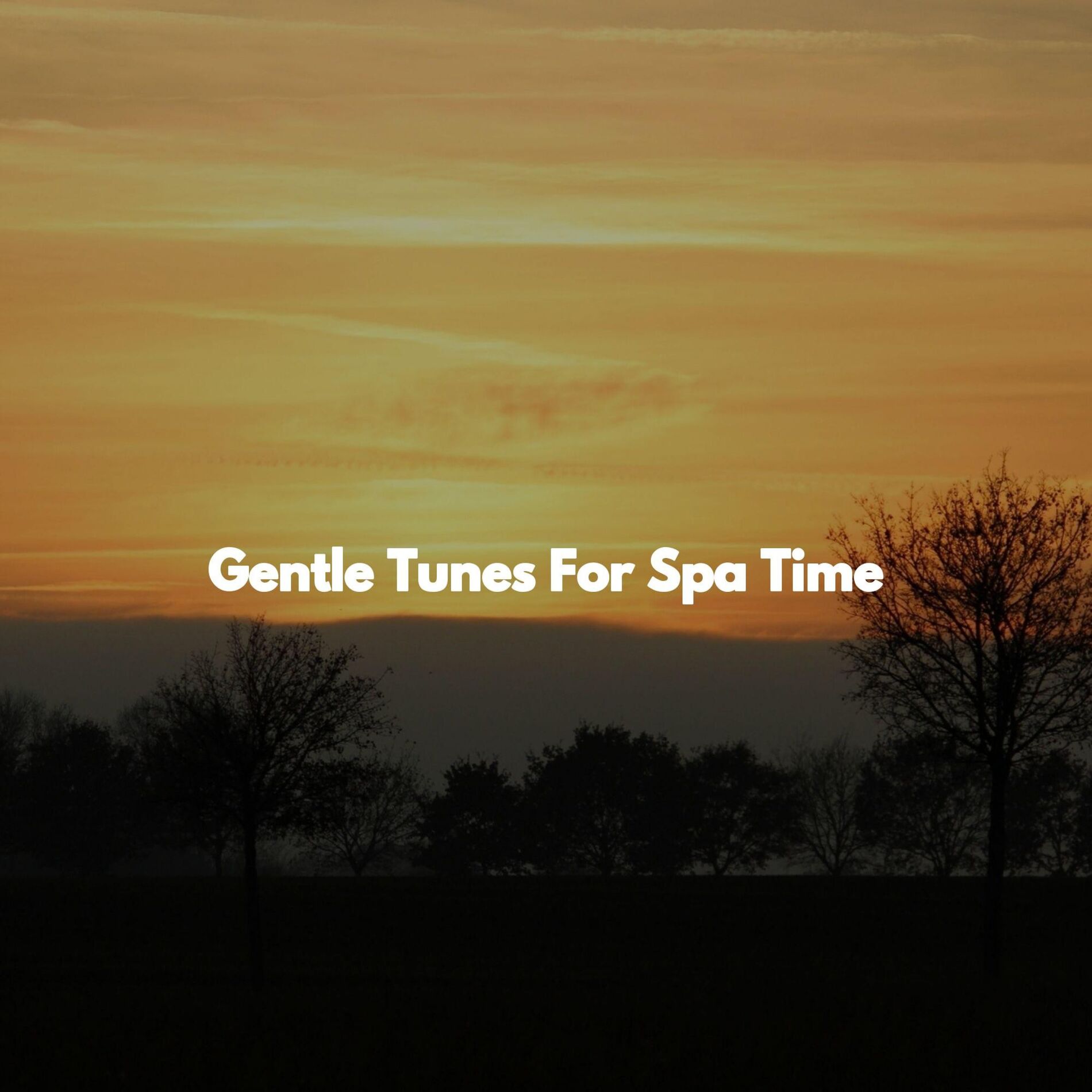 Album cover of Gentle Tunes For Spa Time
