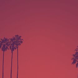 Cover of Music for Fun Vibes