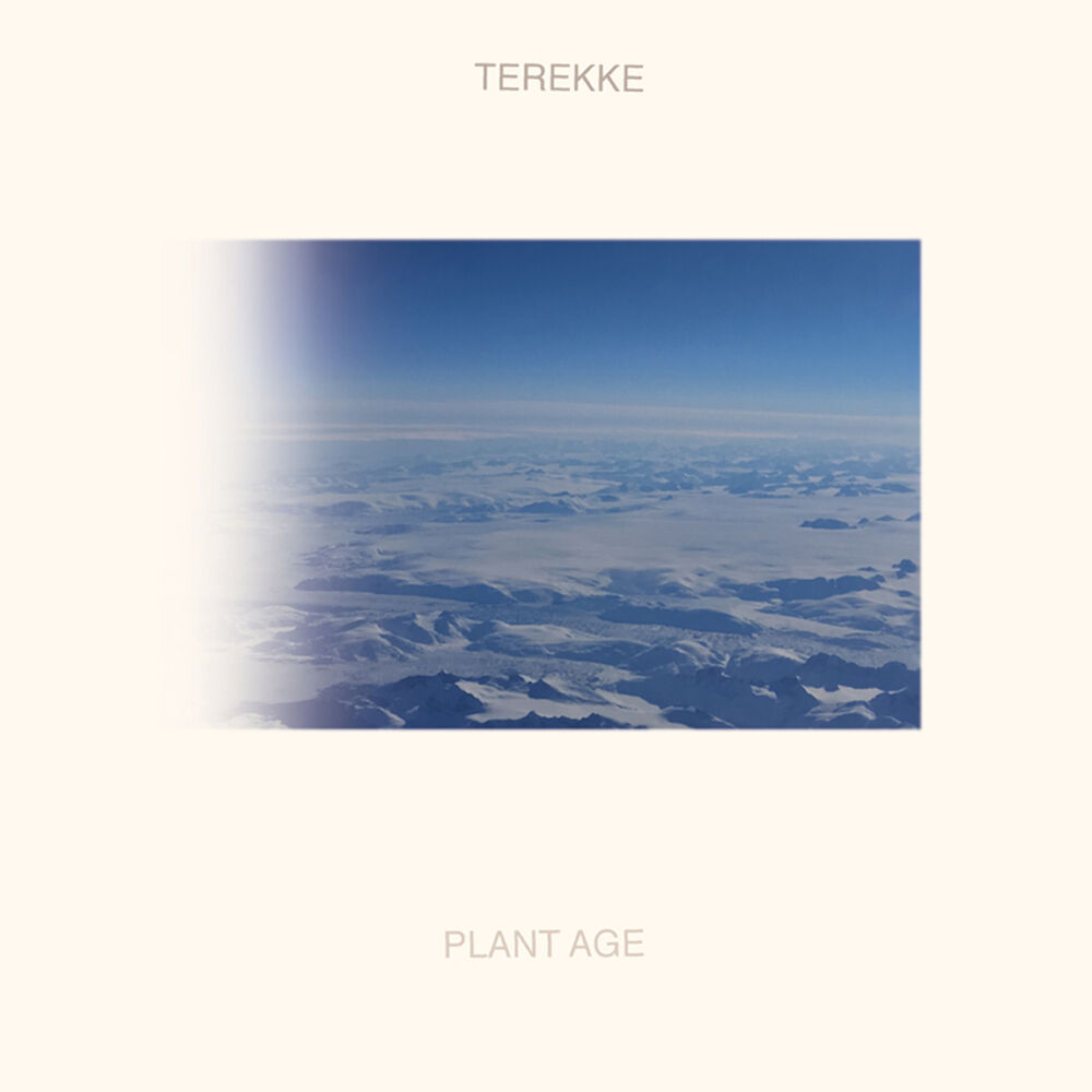 Picture of Plant Age