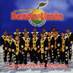Cover of Secretos De Mi Memoria
