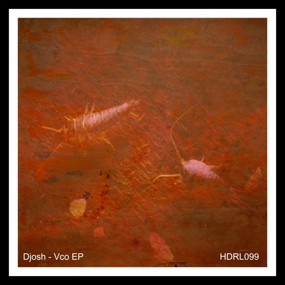 Picture of Vco EP