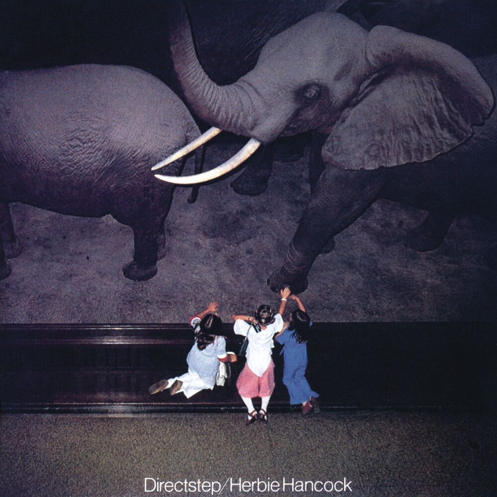 Picture of Directstep