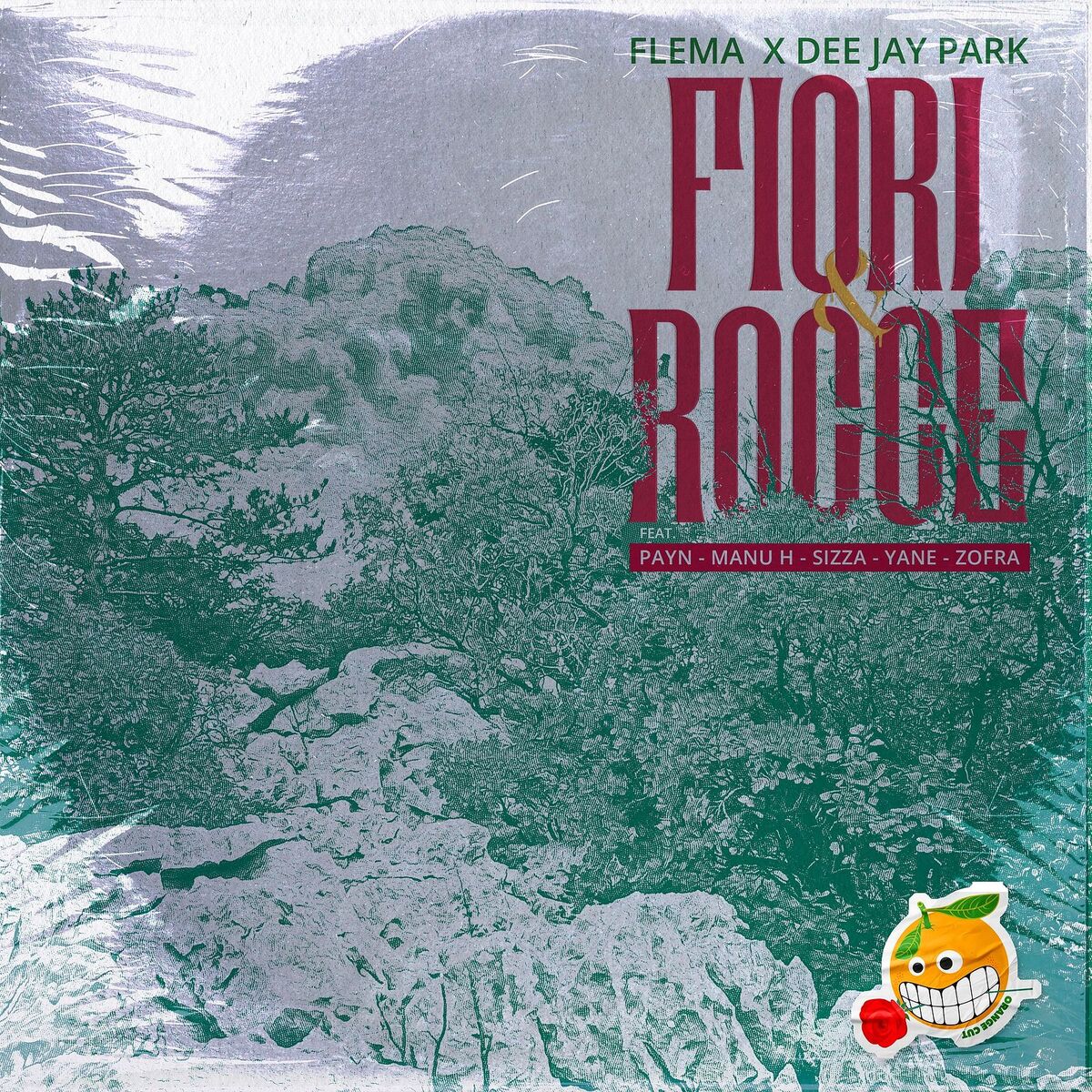 Album cover of Fiori e Rocce