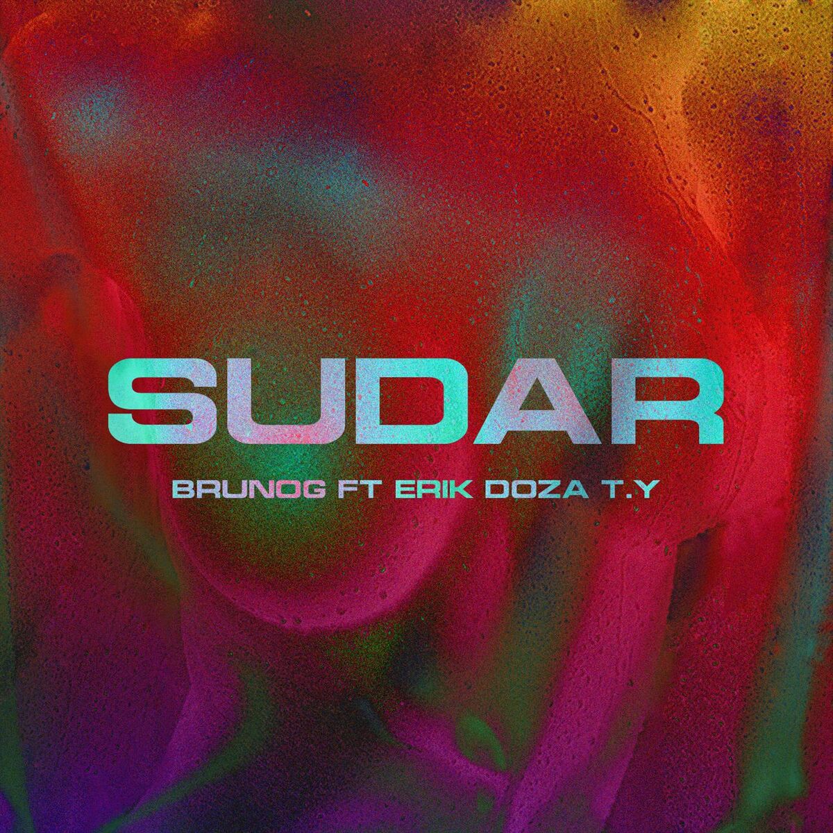 Album cover of Sudar