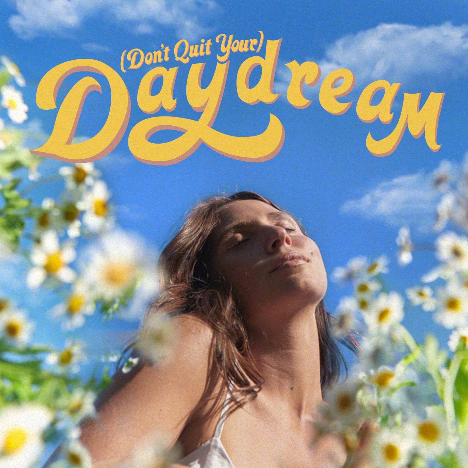 Album cover of (Don't Quit Your) Daydream