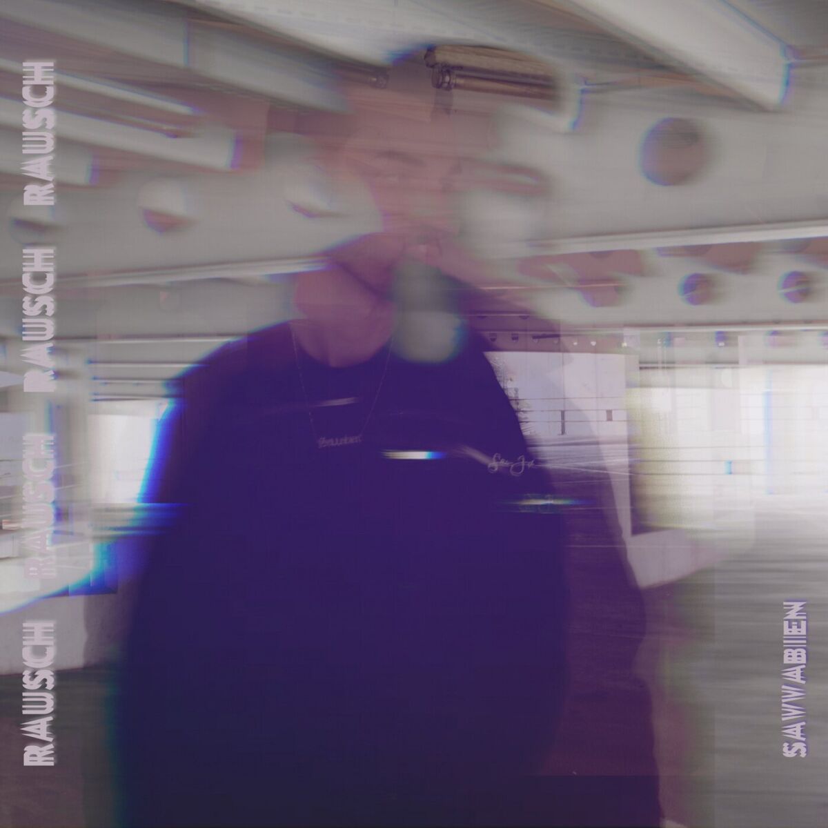 Album cover of Rausch