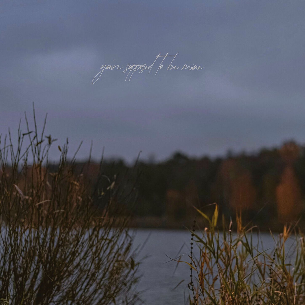 Album cover of you're supposed to be mine