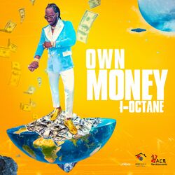 Cover of Own Money