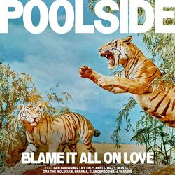 Cover of We Could Be Falling In Love