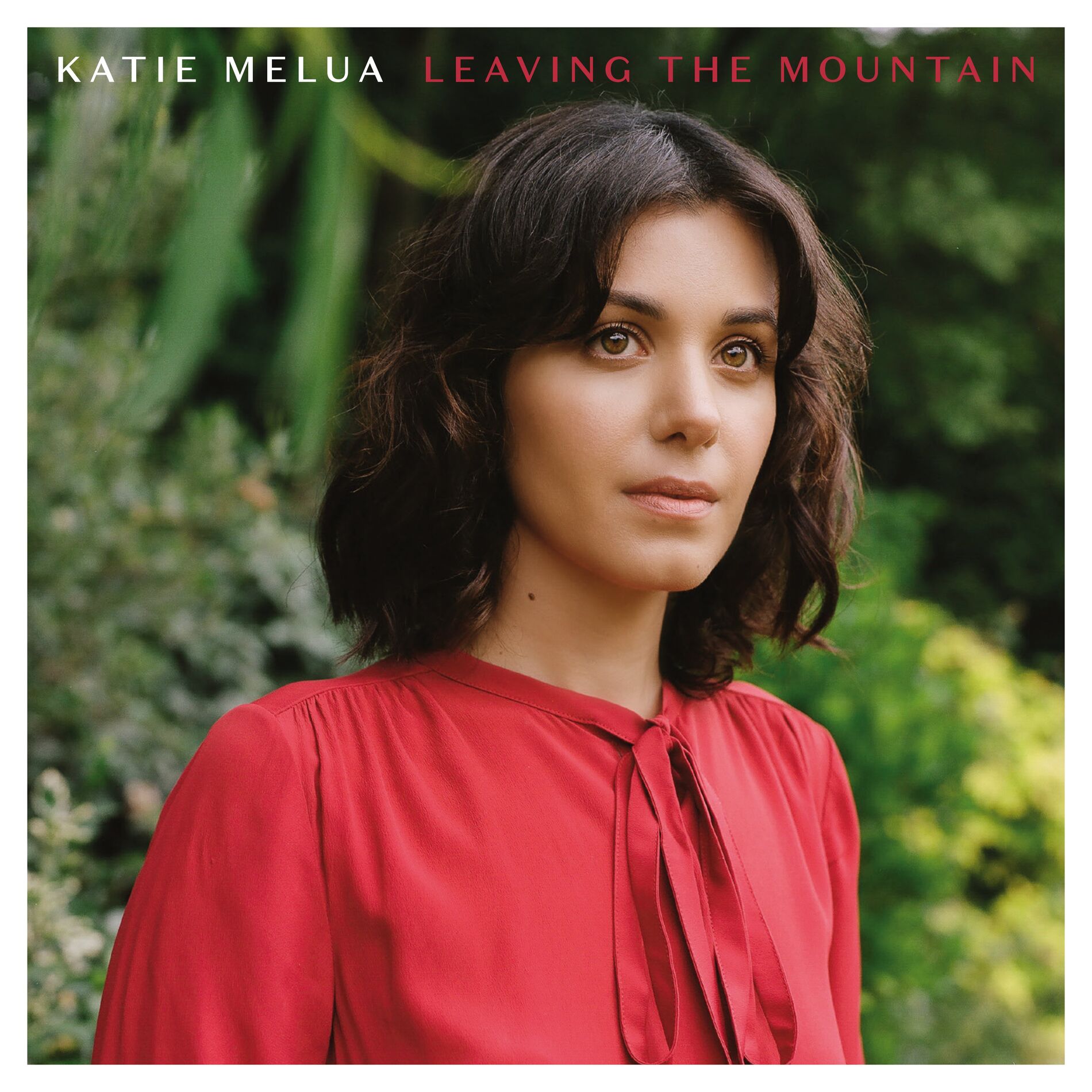 Album cover of Leaving the Mountain