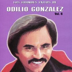 Cover of Los Grandes Exitos De Odilio González: Vol. 6