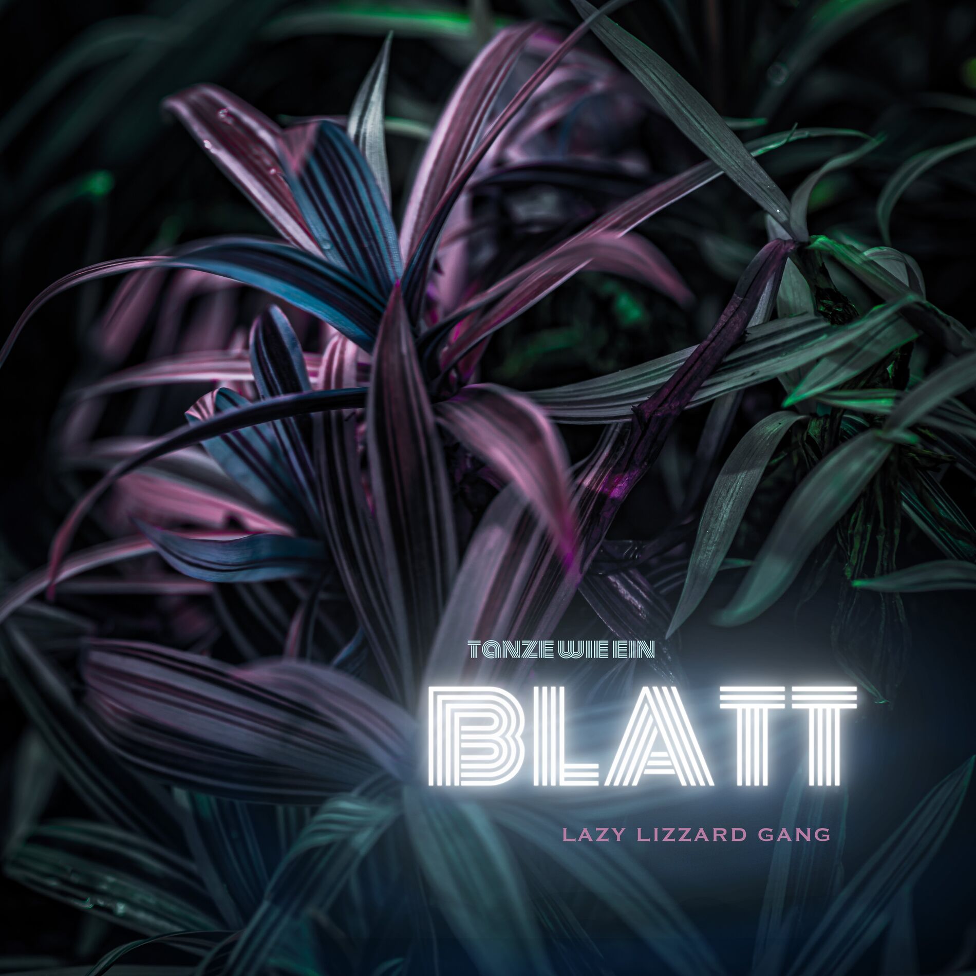 Album cover of Tanze wie ein Blatt