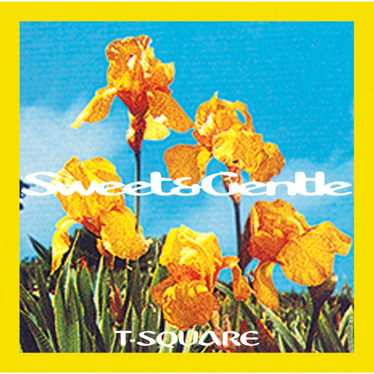 Album cover of Sweet and Gentle